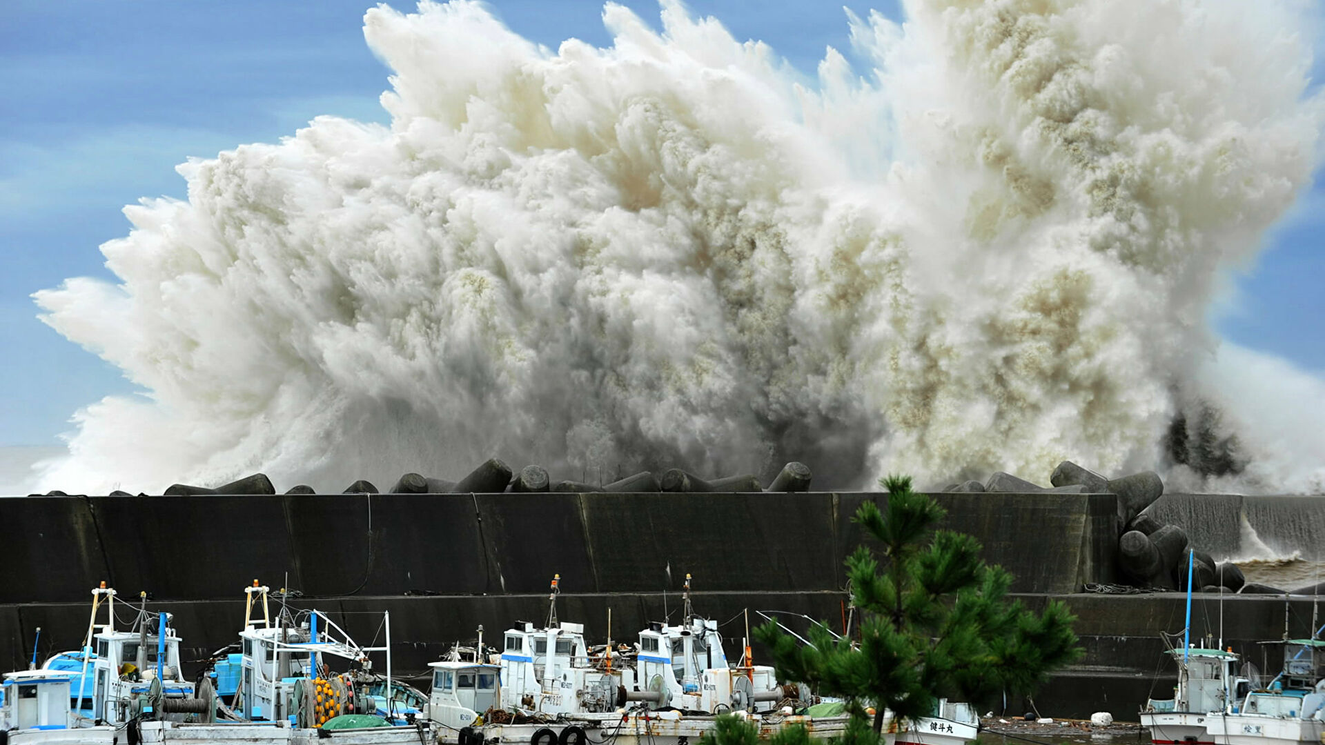 Япония қирғоқларига цунами ёпирилди — видео
