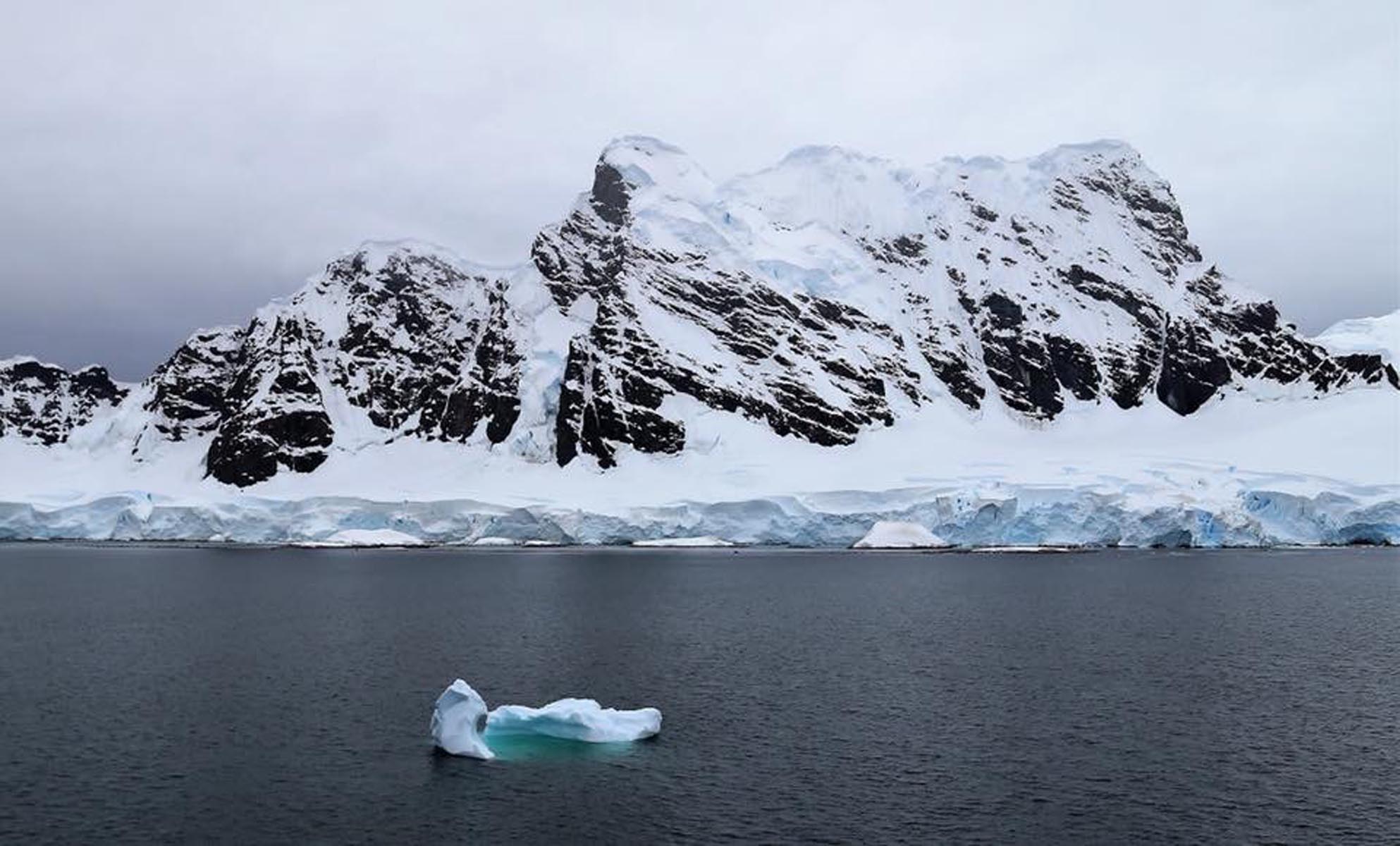 Антарктидада энг катта «балиқлар мегаполиси» топилди — фото