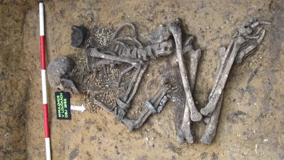 Археологлар бронза даврида яшаган аёлнинг юзини тиклади — фото